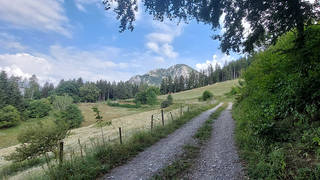 Dragon's Tour / Biking / Styria