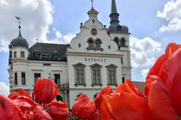 Rathaus in Gleisdorf