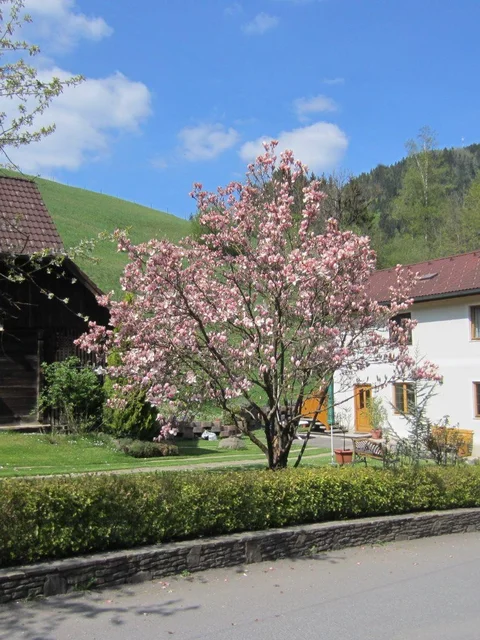 Heidi's Schlummerkiste