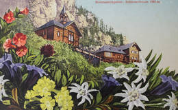 Postkarte von der Wallfahrtskirche Schüsserlbrunn