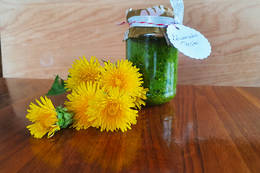 Löwenzahn Pesto fertig