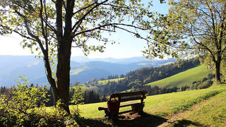 Königskogel-Rundweg / Wandern / Koglhof
