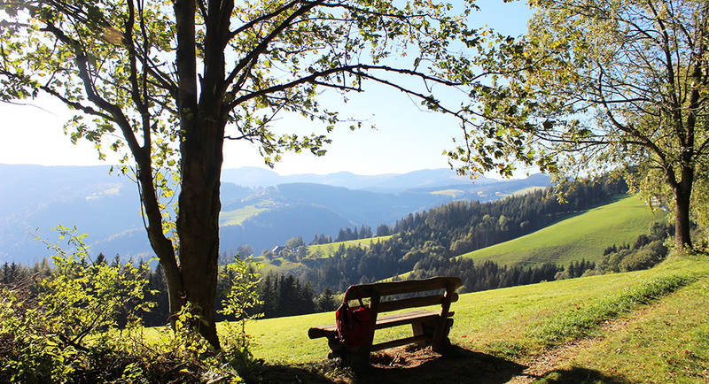 Overview from the rest area at Königskogel