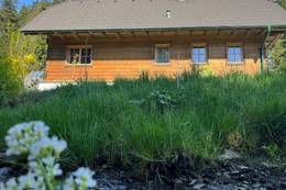 Der Bach direkt neben dem Ferienhaus Naintschbauer.