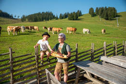 Eine zünftige Jause beim Almgasthaus Holdahütte