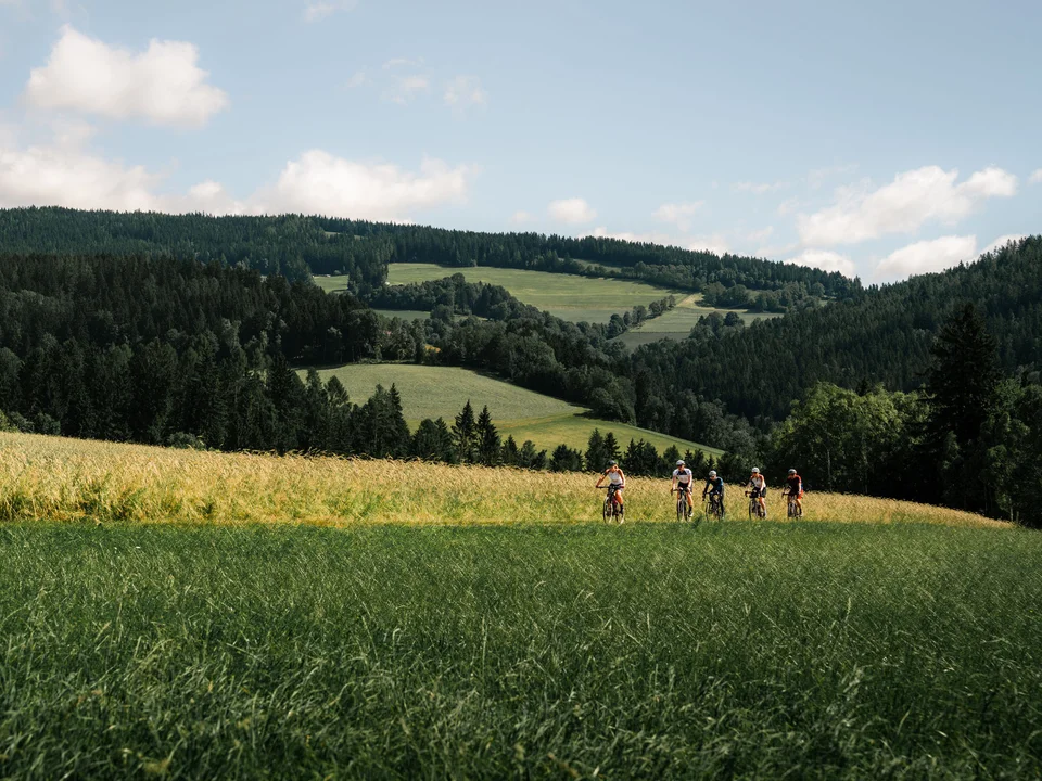 Grüne Wiesen bei der Mountainbiketour "Der große Jogl". Grüne Wiesen bei der Mountainbiketour "Der große Jogl".