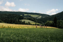 Grüne Wiesen bei der Mountainbiketour "Der große Jogl".