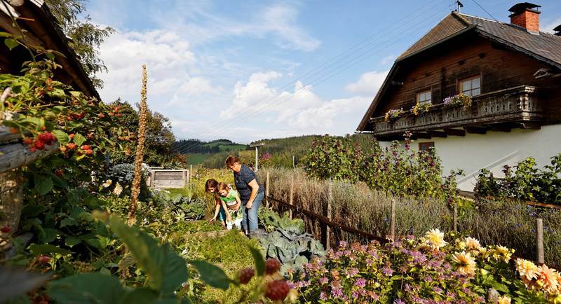 Bio-Kräutergarten Hochegger