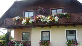 Die Puchis / Privatzimmer / Naturpark
