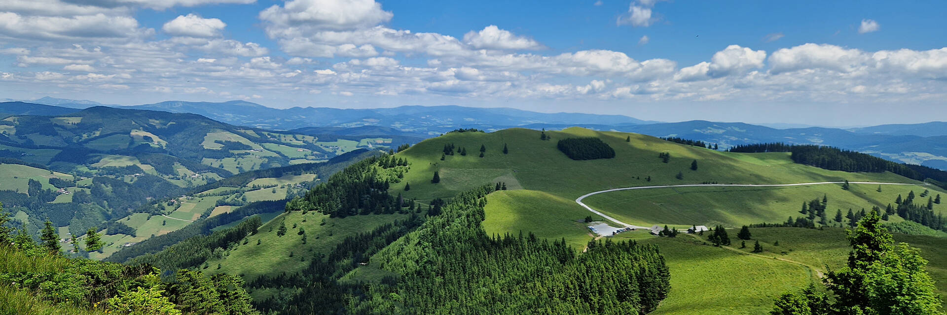 Almlandschaft mit Blick über die Sommeralm im Naturpark Almenland.