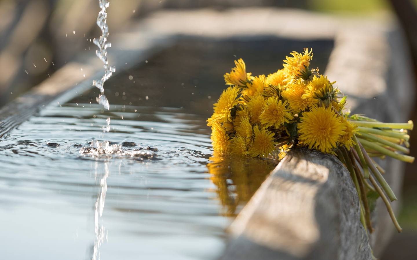 Brunnen mit Löwenzahn-Strauß