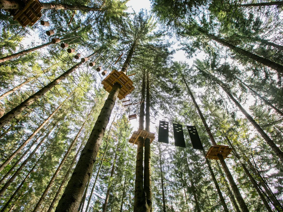 Der Hochseilkletterpark auf der Teichalm