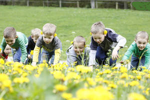 Die Kinder auf der Löwenzahn-Wiese