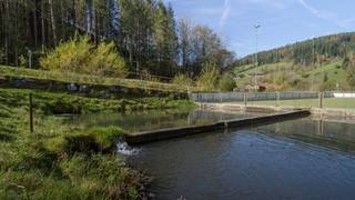 Mistlegg-Runde / St. Kathrein / Wanderung