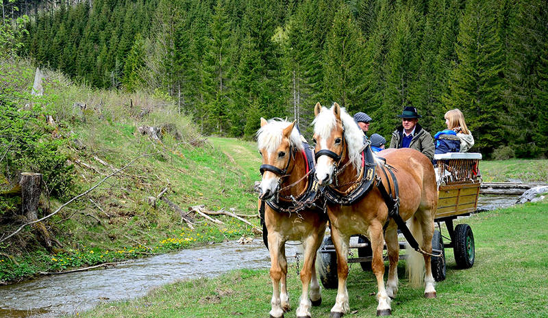 Ausfahrt mit der Kutsche