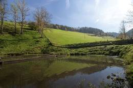 Fischteiche beim Gasthaus Karl Wirt