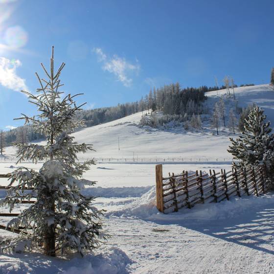 Strahlende Sonne und blauer Himmel mit Schneelandschaft