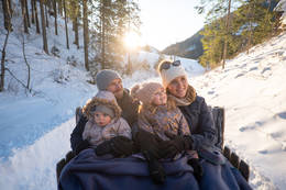 Horse Sleigh Ride with the Family in the Nature Park Almenland