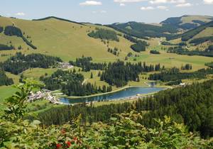 Gastronomie auf der Alm / Teichalm / Sommeralm