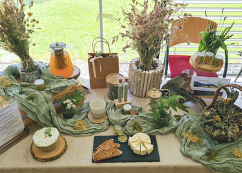 Kräuter aus dem Wald.