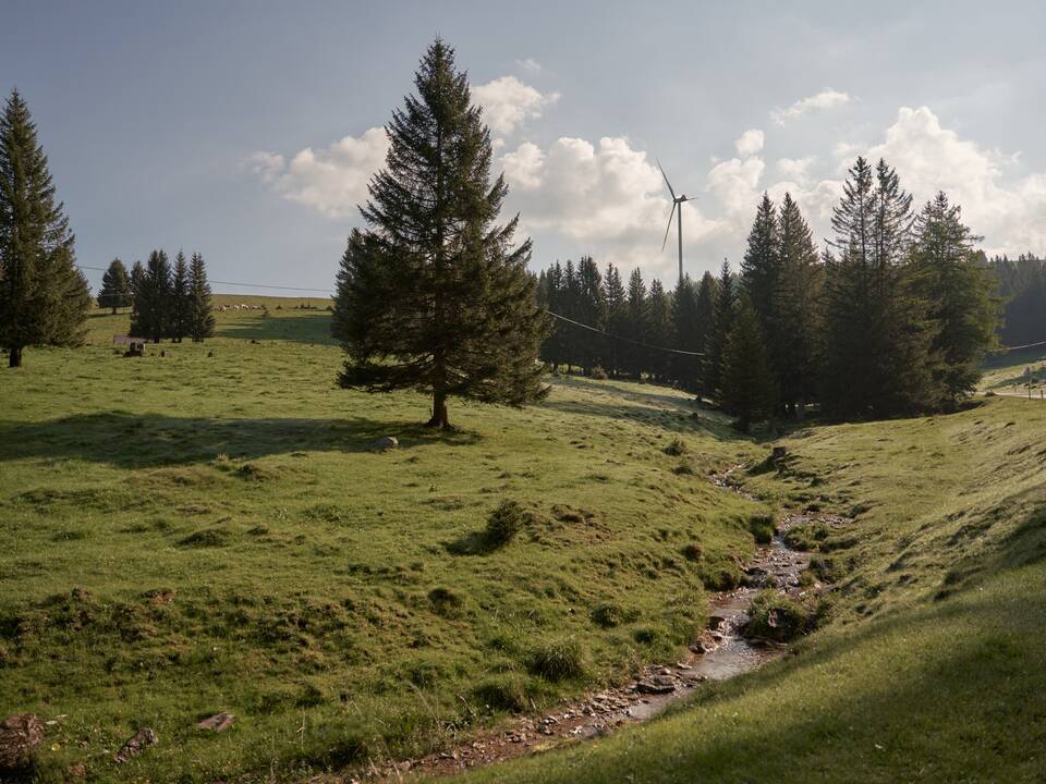 Grüne Almlandschaft mit Windrad auf der Sommeralm im Naturpark Almenland.