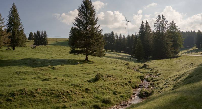 Grüne Almlandschaft mit Windrad auf der Sommeralm im Naturpark Almenland.