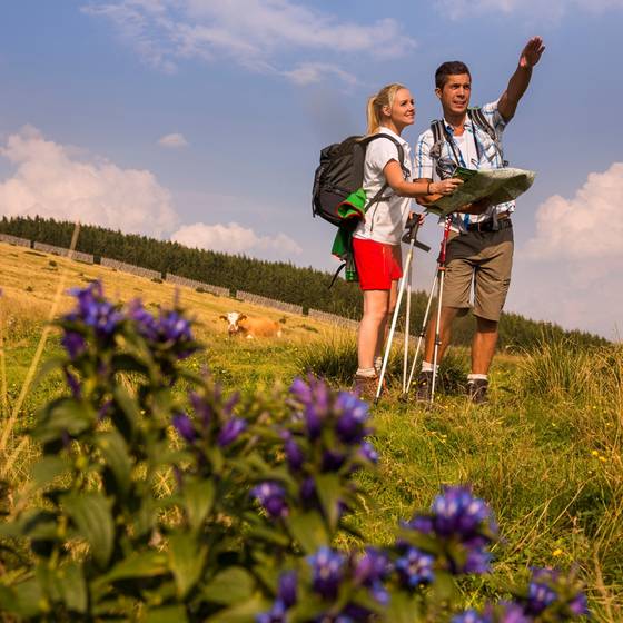Wandern über Wiesen und Almen
