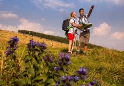 Wanderung im Sommer