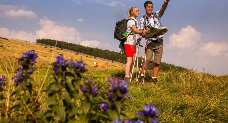 Hiking in the Nature Park