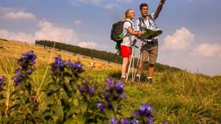 Weg der 100.000 Schritte Wandern Steiermark