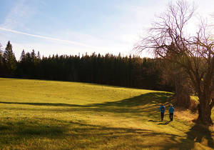 Goldener Herbst im Naturpark auf der Brandlucken