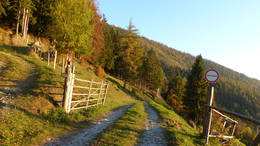 On the Patscha