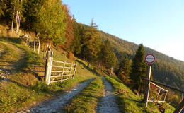 Weg am Patscha