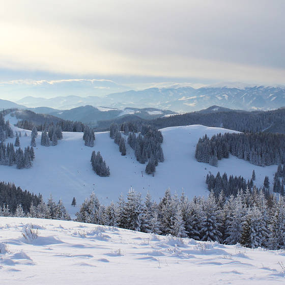 Winterpanorama