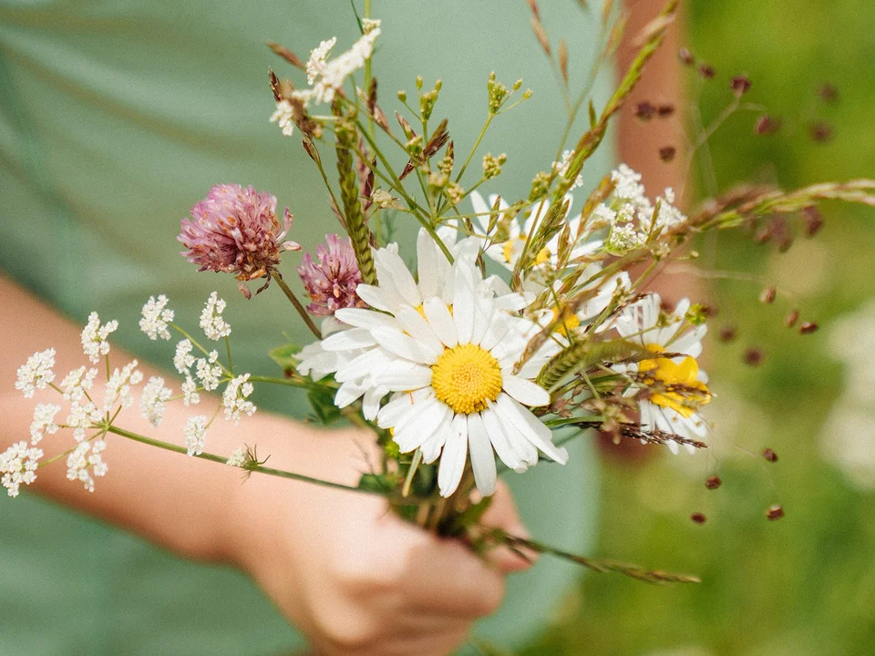 Sommerblumenstrauß aus dem Naturpark Almenland.