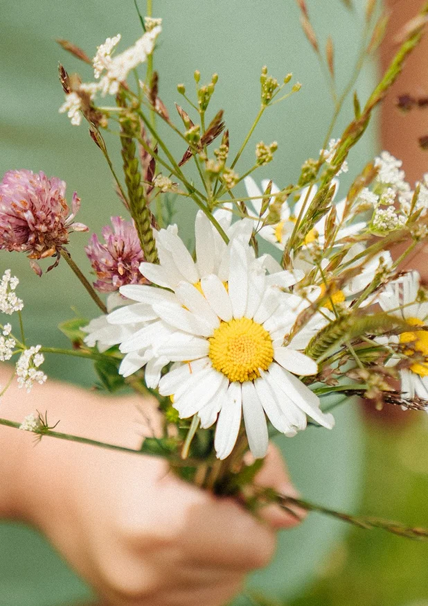 Die Vielfalt an Biodiversität im Naturpark Almenland