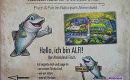 Alfi der Almenland-Fisch beim Fischlehrpfad im Naturpark Almenland.