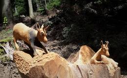 Holzskulpturenweg auf der Nechnitz