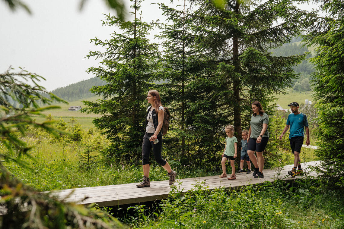 Naturpark Führung am Moorlehrpfad auf der Teichalm. Naturpark Führung am Moorlehrpfad auf der Teichalm.