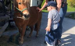 Ponys streicheln am Bauernhof