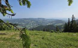 Ausblick von der Sommeralm im Naturpark Almenland