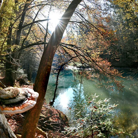 Raabklamm
