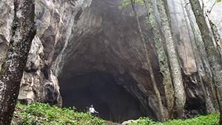 Drachenhöhle / Mixnitz / Naturdenkmal