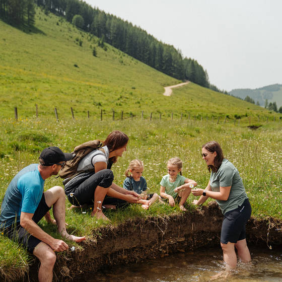 Bachsteigen bei der Naturpark Führung.