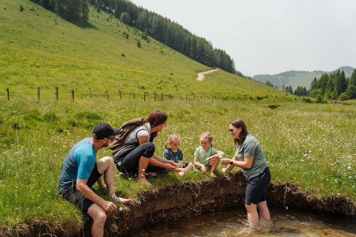 Bachsteigen bei der Naturpark Führung.