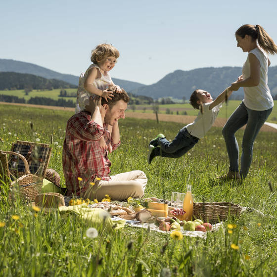 Picknick mit der Familie