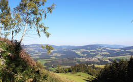 Overview from Fischbacher alps