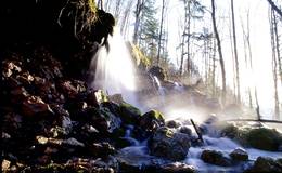The "Bärenschützklamm"