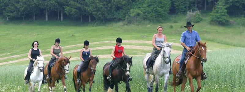 Bio- und Horse court Stockner