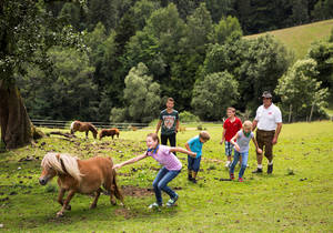 Urlaub am Bauernhof / Naturpark / Unterkünfte